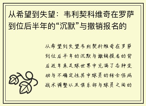 从希望到失望：韦利契科维奇在罗萨到位后半年的“沉默”与撤销报名的背后