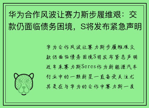 华为合作风波让赛力斯步履维艰：交款仍面临债务困境，S将发布紧急声明