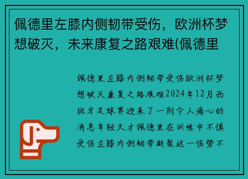 佩德里左膝内侧韧带受伤，欧洲杯梦想破灭，未来康复之路艰难(佩德里 前腰)
