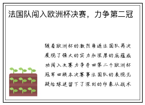 法国队闯入欧洲杯决赛，力争第二冠