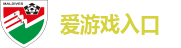 爱游戏入口